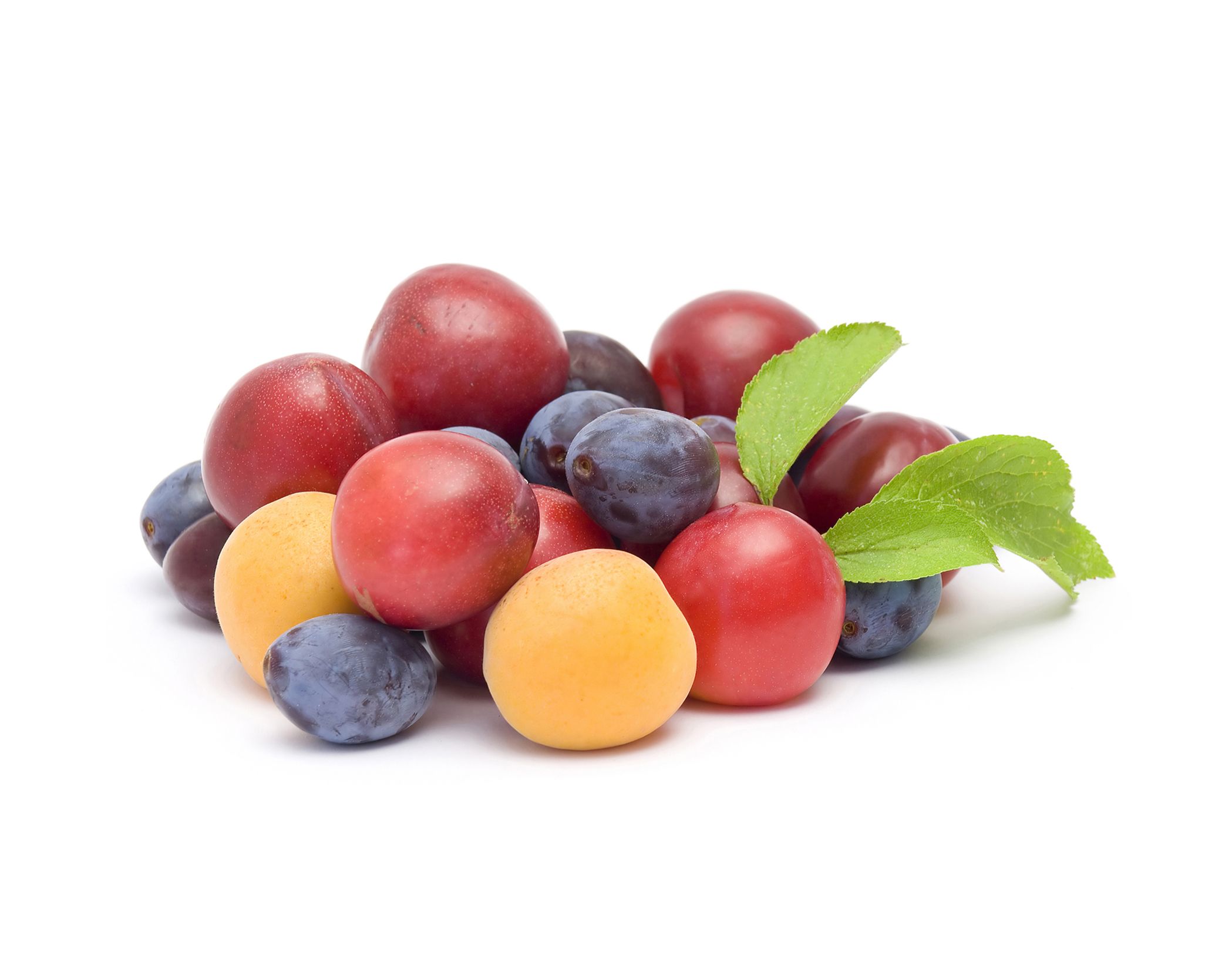 Stone Fruits