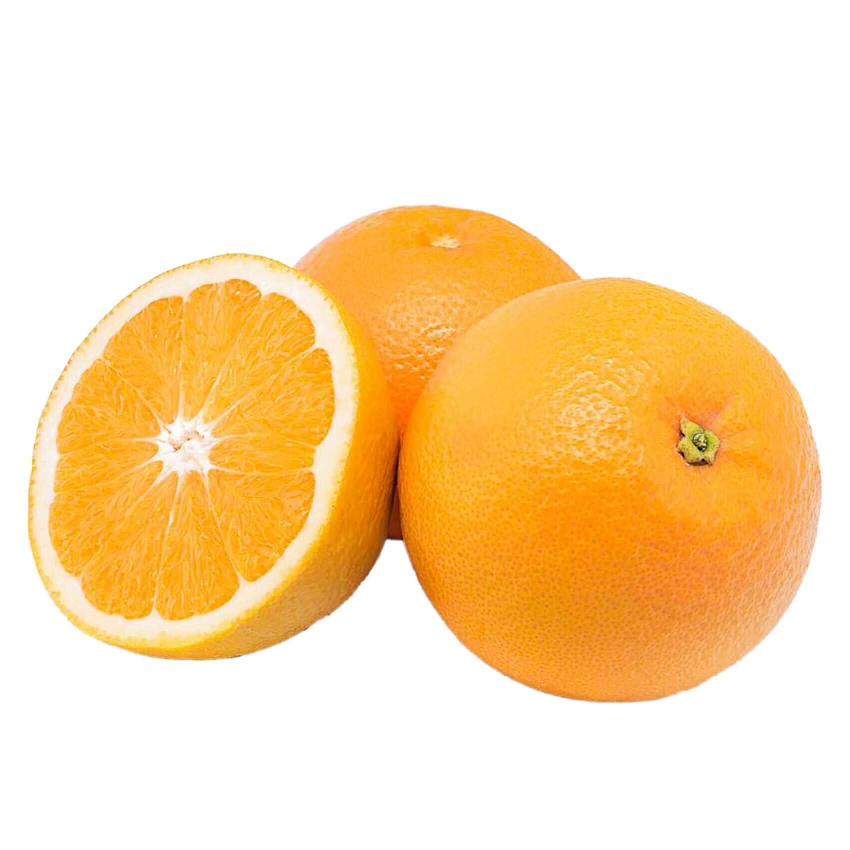 Valencia Orange