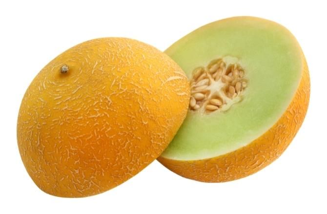 Honeydew