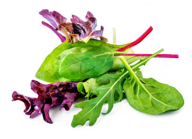 Spring Mix