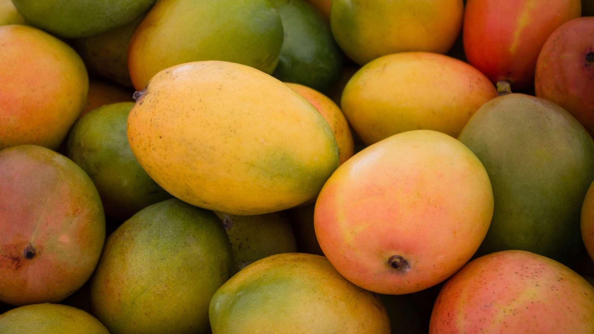 mango.jpg