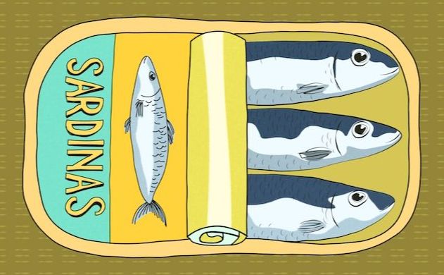 SardineBackground.jpg