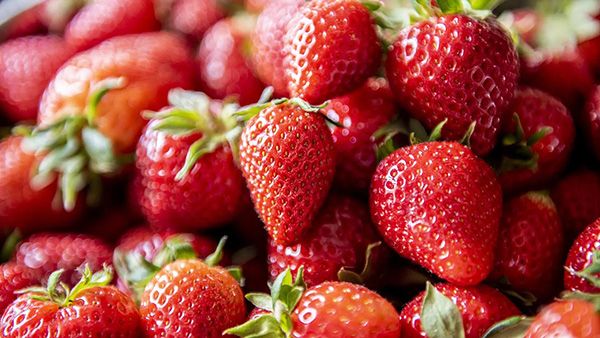 fresas2.jpg