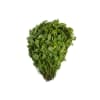 Lemon Basil Leaf Best Price