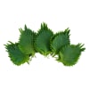 Shiso, Oba