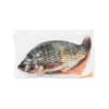 Nile Tilapia (Entrails off) Gross Weight