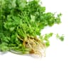 Coriander with Roots (Trimmed)