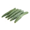 Sponge Gourd/Angled gourd  Best Price