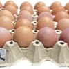 Eggs Thin-Shelled No.3 no cover lid