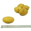 Potato No.A size M 200-400 g./pcs. Uniform