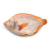 Red Tilapia (Scale and Entrails off) Gross Weight 720-800 g./each