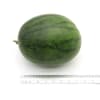 Kinnaree Watermelon size 1.5-2 kg./fruit