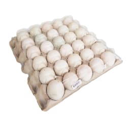 Duck Eggs No.0 with Cover