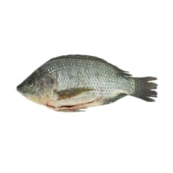 Nile Tilapia (Scale and Entrails off) Gross Weight