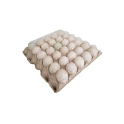 Duck Eggs No.1 with Cover