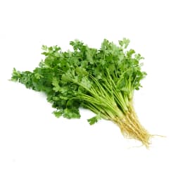 Coriander with Roots (Trimmed)