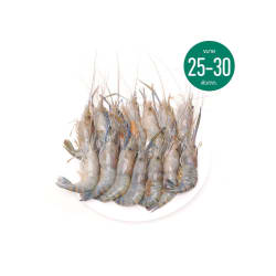 กุ้งแม่น้ำ (สด) ขนาด 25-30 ตัว/กก.