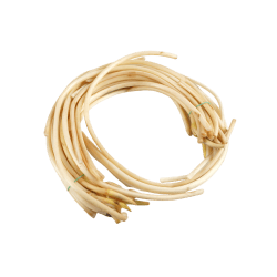 Lotus Root Best Price