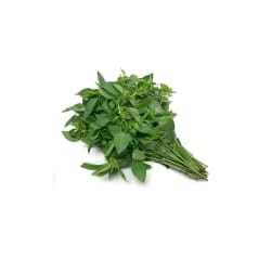 Lemon Basil Leaf (Trimmed)