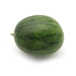 Kinnaree Watermelon size 1.5-2 kg./fruit