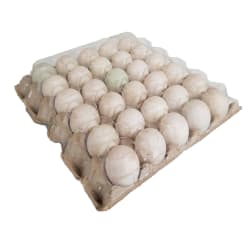 Duck Eggs No.2 with Cover