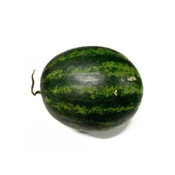 Jintara Watermelon