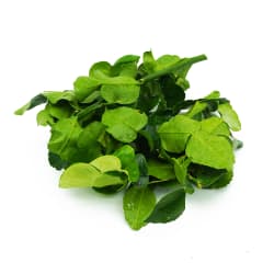 Kaffir Lime Leaf