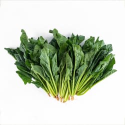 Imported Spinach Best Price