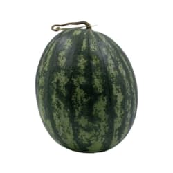 Sonya Watermelon size 2-2.5 each/kg Best Price