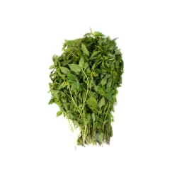 Lemon Basil Leaf Best Price