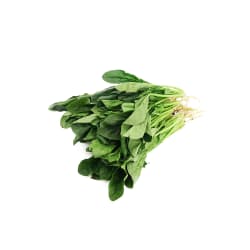 Imported Spinach