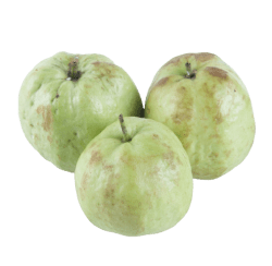 Kimju Guava with Seed Best Price