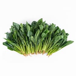 Imported Spinach Best Price