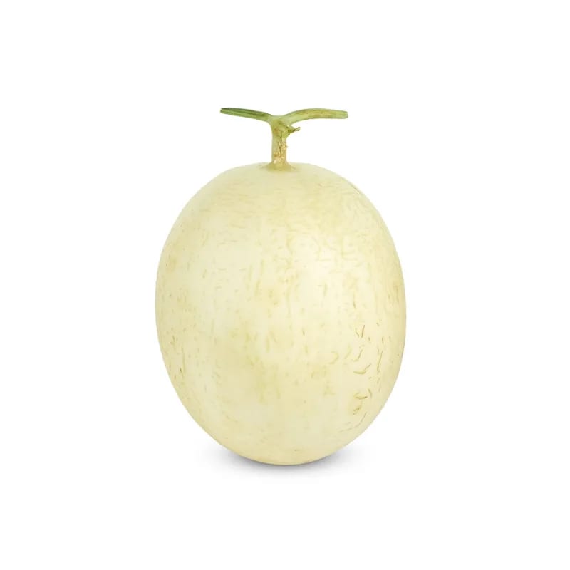 Sunlady Cantaloupe Orange Flesh 1.2-1.5kg./fruit