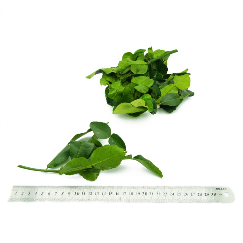 Kaffir Lime Leaf (Trimmed)