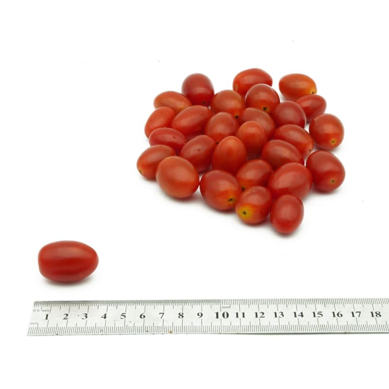 Thai Cherry Tomato size M