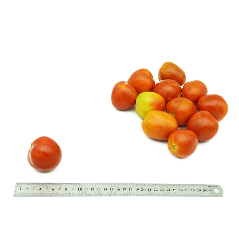 Peach Tomato