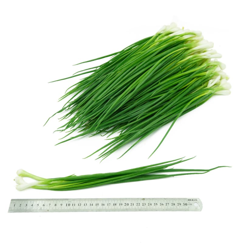 ต้นหอมไทย คัดสวย