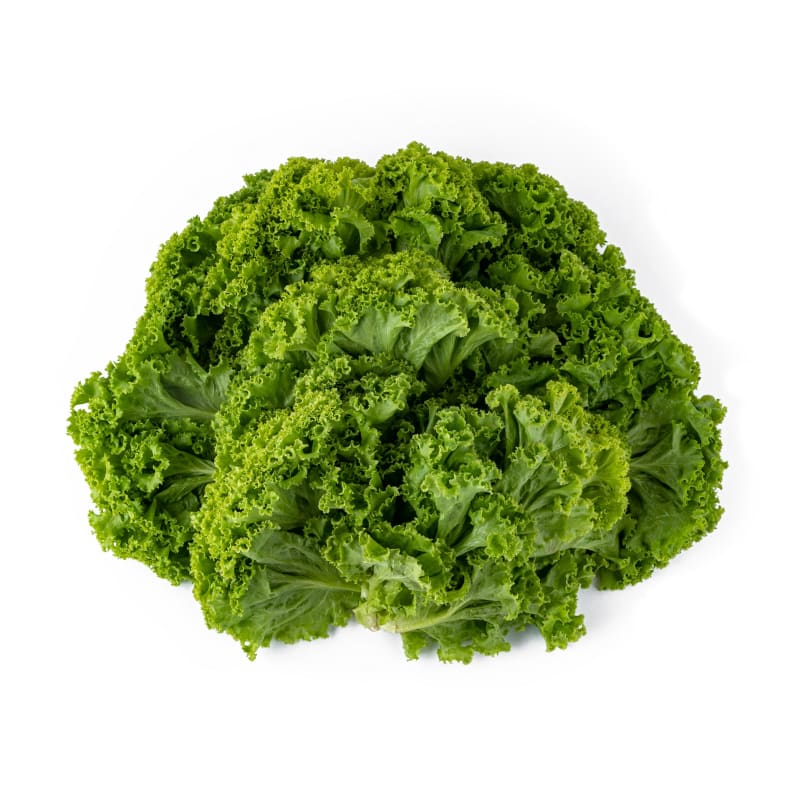 ผักกาดหอม