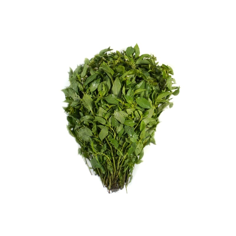 Lemon Basil Leaf Best Price