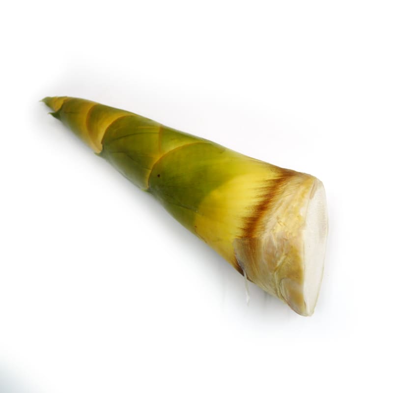 Sweet Bamboo Shoot (Trimmed)