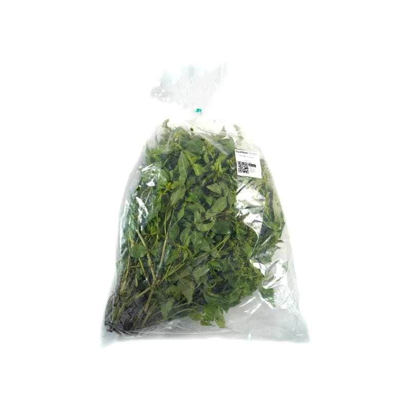 Lemon Basil Leaf Best Price