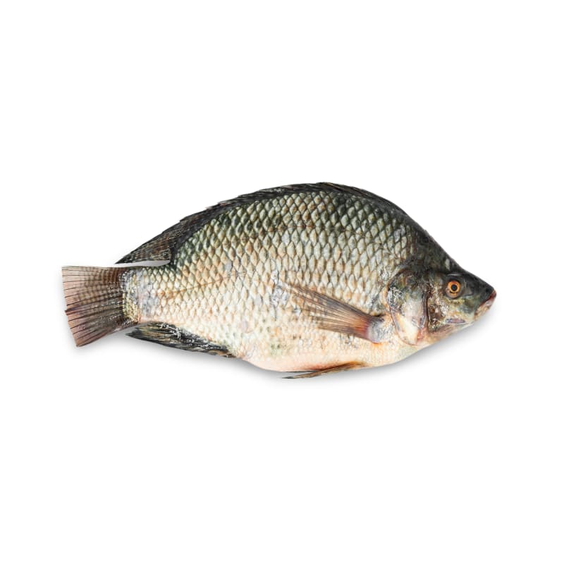 Nile Tilapia (Entrails off) Gross Weight