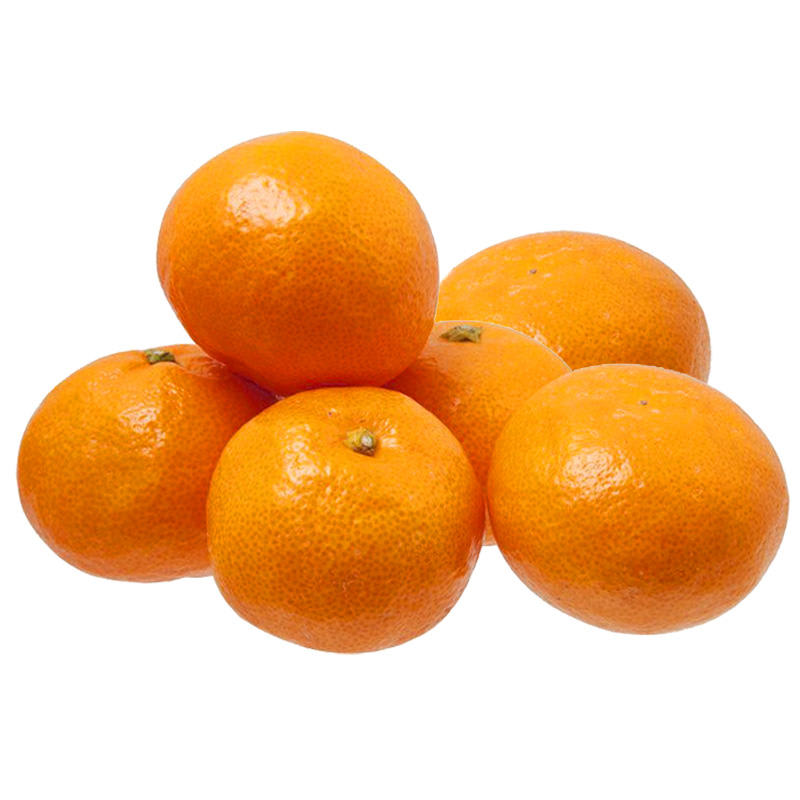 ส้มไต้หวัน