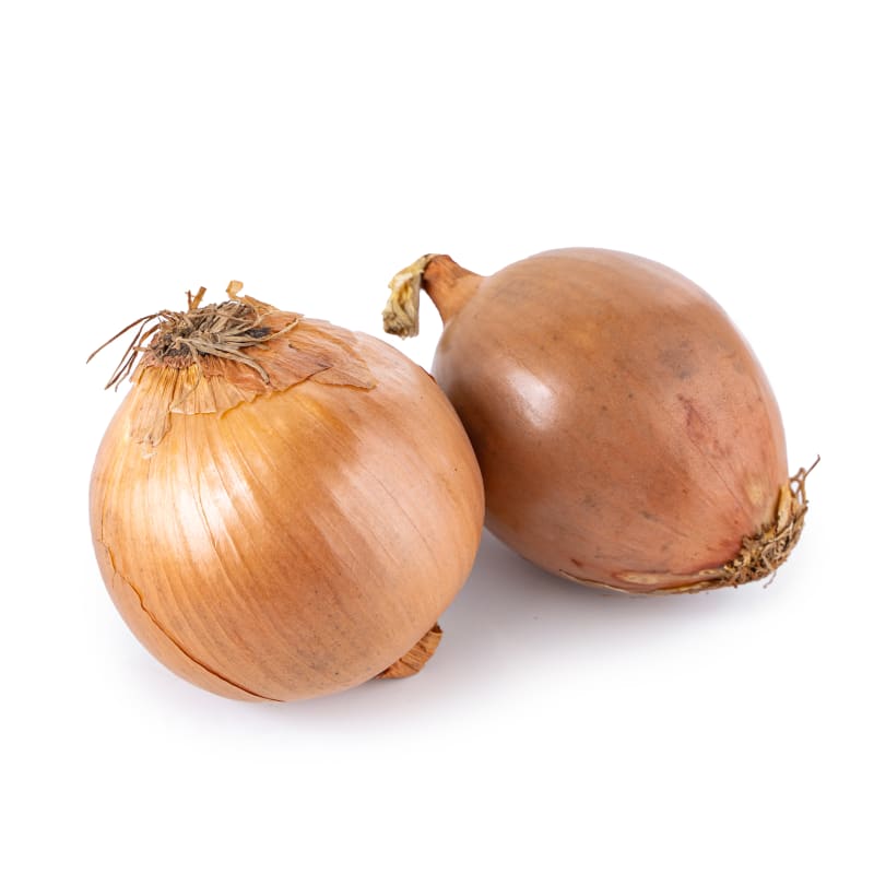 หอมหัวใหญ่