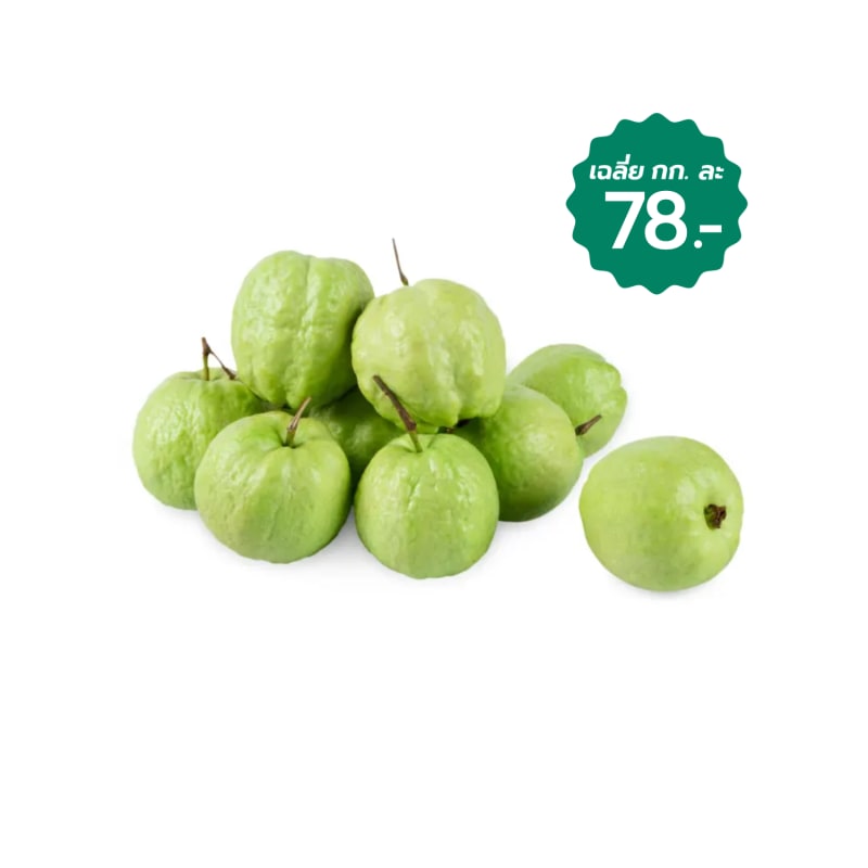 Paen Guava size 2-3 pcs/kg.