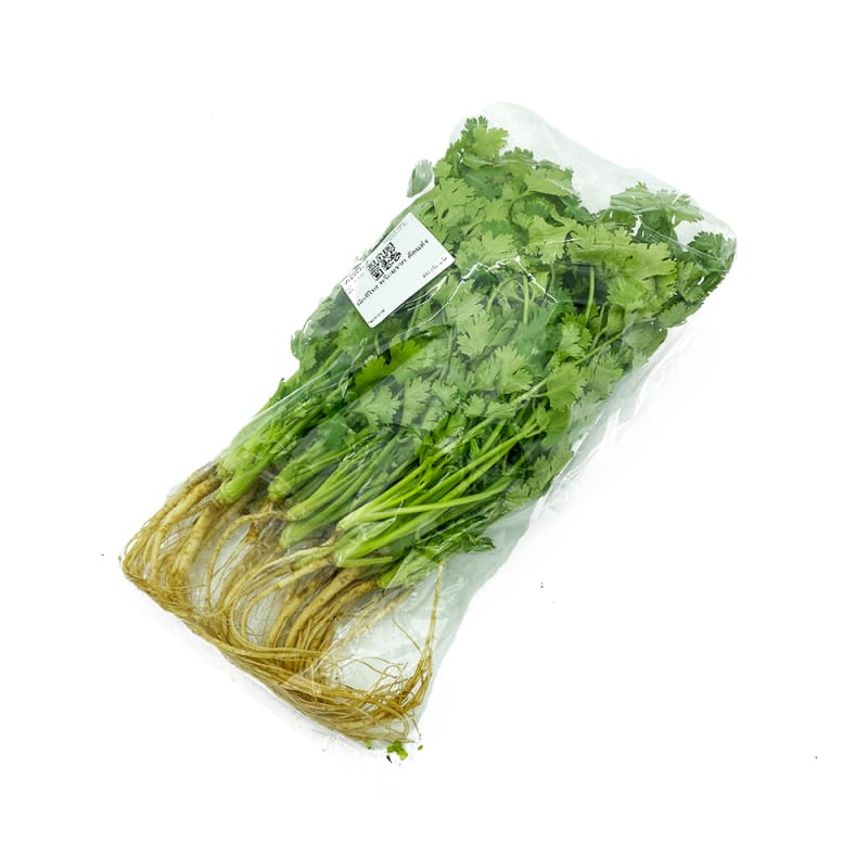 Coriander with Roots (Trimmed)