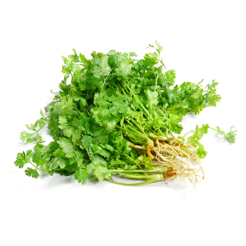 Coriander with Roots (Trimmed)