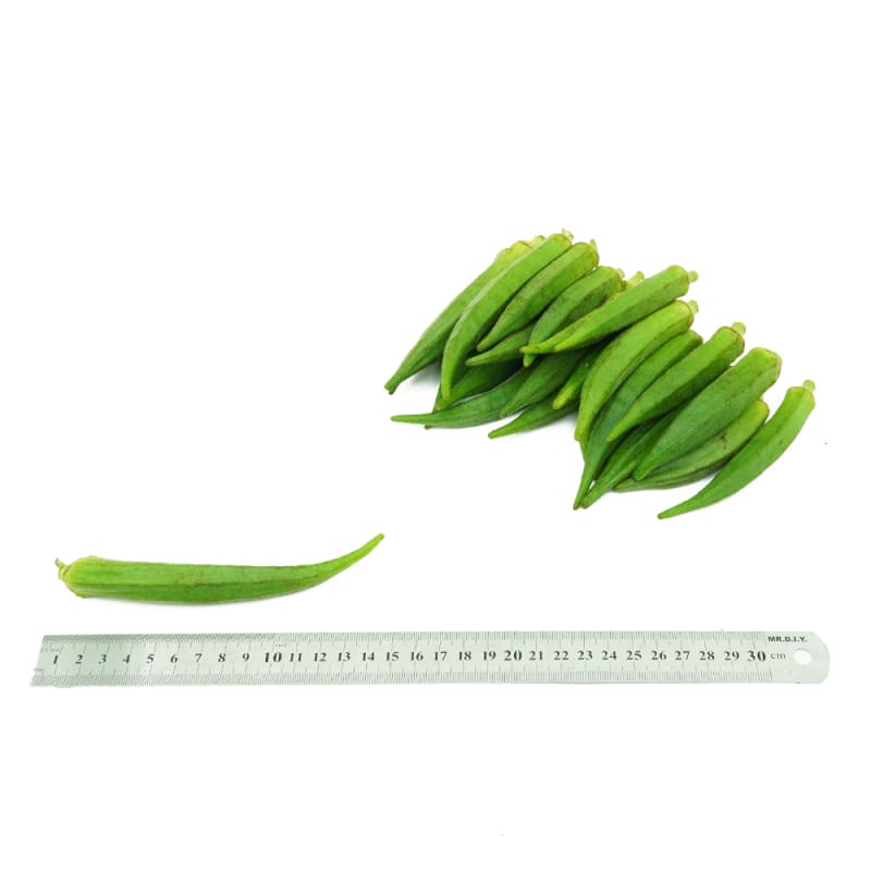 Green Okra (Special Selected)