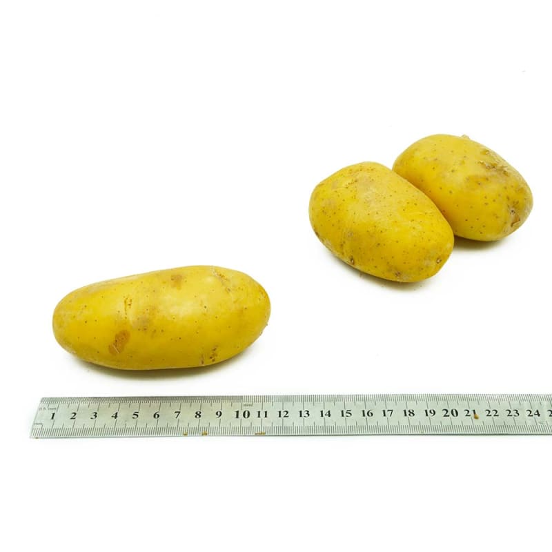 Potato Mixed size 3-10 each/kg.